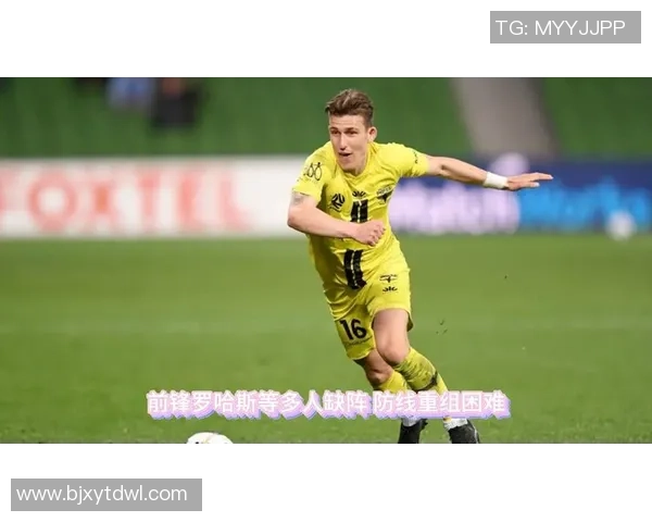 西悉尼流浪者对阵惠灵顿凤凰精彩赛事回顾与分析视频分享 西悉尼流浪者对阵惠灵顿凤凰精彩赛事回顾与分析视频分享