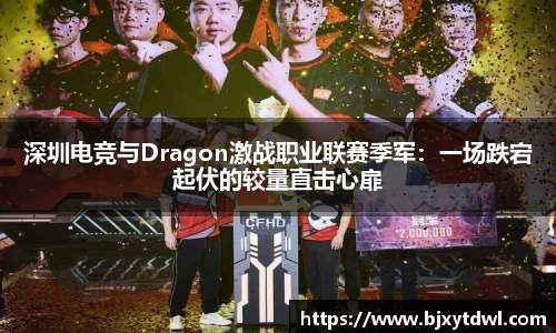 深圳电竞与Dragon激战职业联赛季军：一场跌宕起伏的较量直击心扉